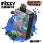 Fizzy vape, 12000 puffs, blueberry flavor