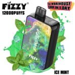 Fizzy Pandora vape, 12000 puffs, ice mint flavor