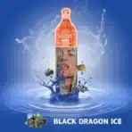 Colorful beverage bottle with splash, Black Dragon Ice.