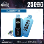 Blueberry ice vape pen, 2500 puffs, 30ml.