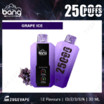 Grape ice vape, 2500 puffs, disposable e-cigarette.