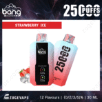 Bang disposable vape Strawberry Ice flavor, 2500 puffs.