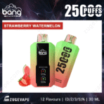Strawberry watermelon vape, 2500 puffs, Bang brand.