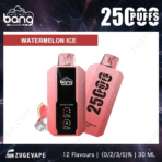Bang Watermelon Ice vape, 2500 puffs, pink device