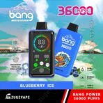 Blueberry Ice disposable vape, 36000 puffs capacity.