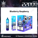 Blueberry Raspberry vape packaging, 22000 puffs, 12 flavors.