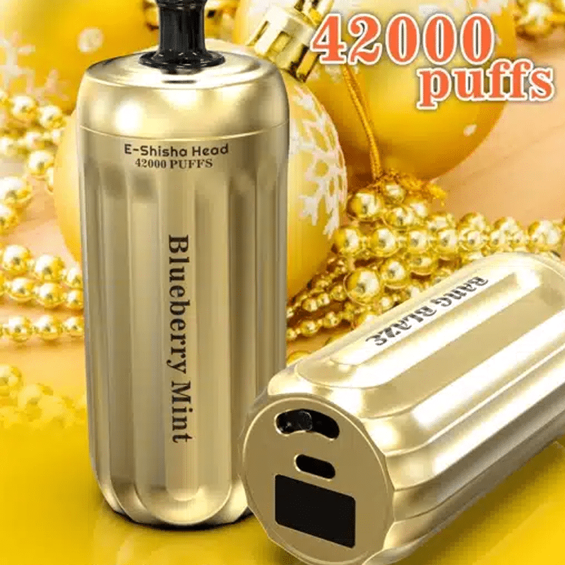 Bang Blaze 42000 Puffs-2 Blueberry Mint vape with 42000 puffs.