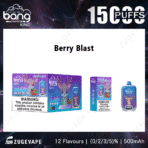 Berry Blast vape, 15000 puffs, nicotine warning