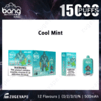 Cool Mint vape, 1500 puffs, nicotine warning.