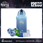 Blue razz ice vape with blueberries and ice