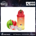 Watermelon Ice disposable vape with 1200 puffs.