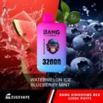 Bang Leader vape 32000 puffs, watermelon blueberry mint.