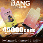 Bang Leader vape devices, 45000 puffs, USB charge.