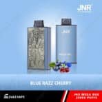 JNR vape box, Blue Razz Cherry flavor, 25000 puffs