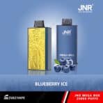 JNR Mega Box Blueberry Ice vape, 25000 puffs.