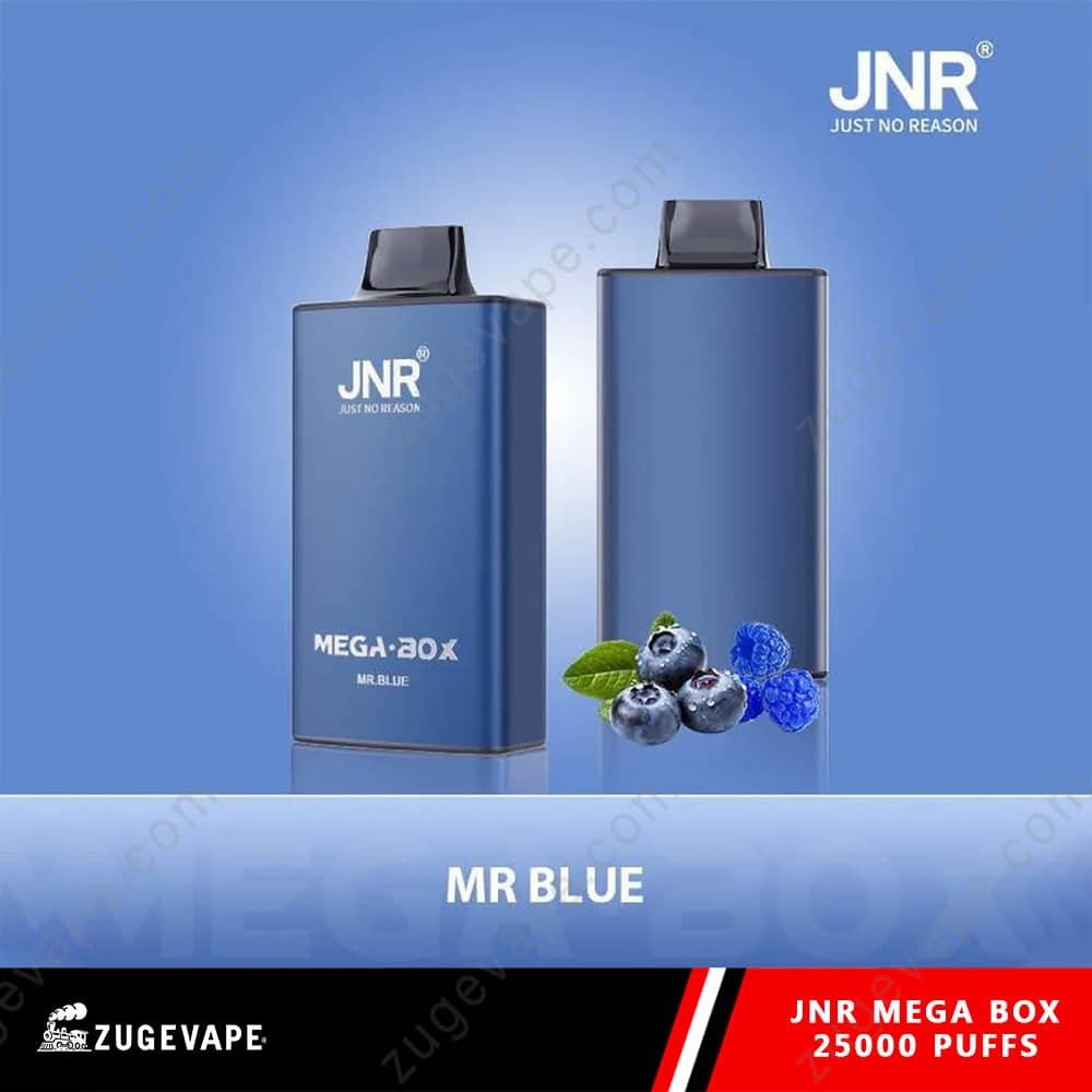 JNR-Mega-Box-25000-Puffs-Mr-Blue.jpg JNR Mega Box vape with blueberry flavor
