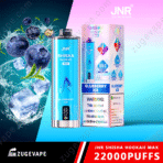 JNR Blueberry Ice Shisha Vape, 22000 Puffs