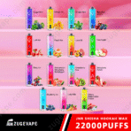JNR Shisha Hookah Max vape flavors display.