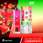 JNR Shisha Hookah Max vape with fruit flavors.